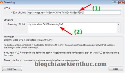 mega nz to idm|Cách tải link Mega.nz bằng IDM tốc độ Max Speed (2024).